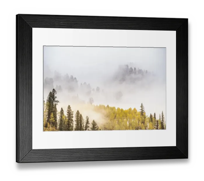 Framed Print : USA, Colorado, San Juan Mountains. Fog across mountainside in autumn