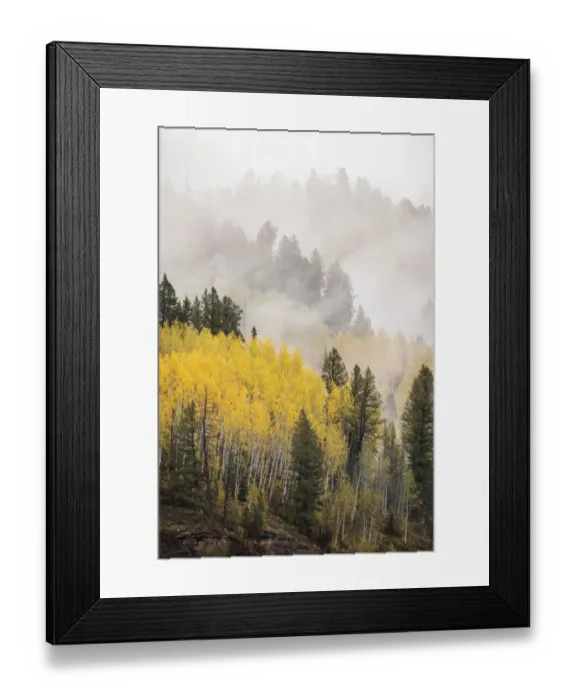 Framed Print : USA, Colorado, San Juan Mountains. Fog across mountainside in autumn Framed Print : USA, Colorado, San Juan Mountains. Fog across mountainside in autumn