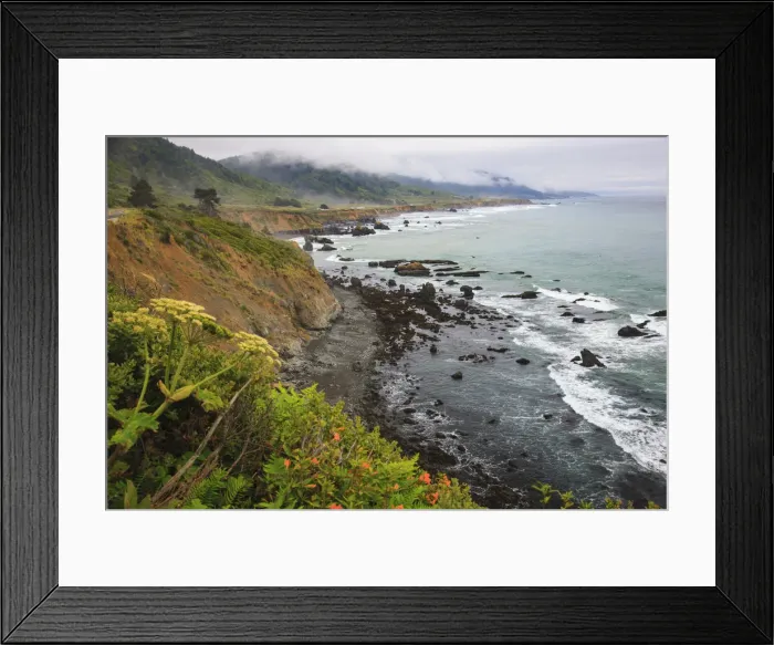 Framed Print : Driving on Route One along the Northern California coast. Undulating coastline with craggy rock Framed Print : Driving on Route One along the Northern California coast. Undulating coastline with craggy rock