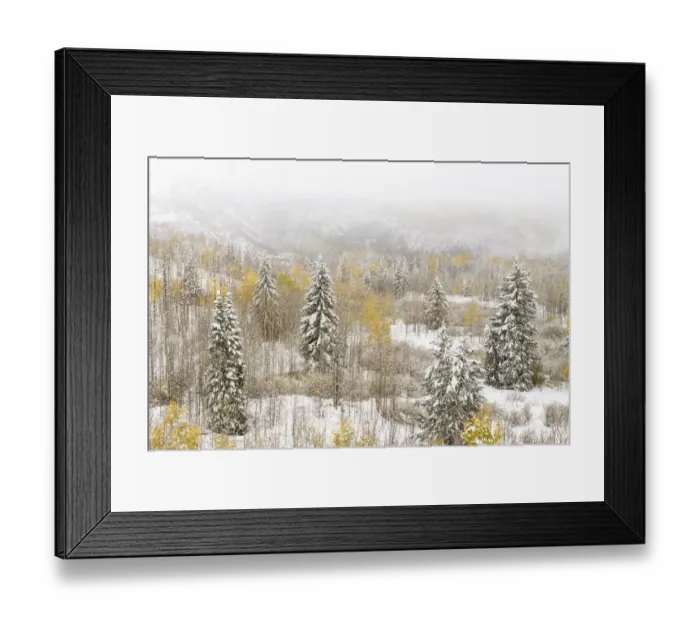 Framed Print : USA, Colorado, White River National Forest