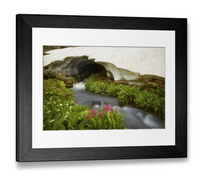Framed Print : USA, Colorado, San Juan Mountains. Stream rushing under snow bank Framed Print : USA, Colorado, San Juan Mountains. Stream rushing under snow bank