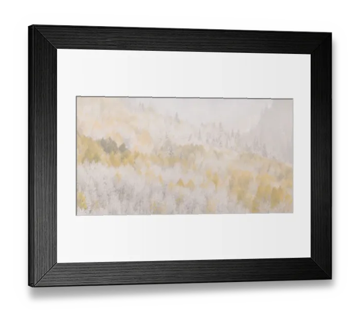 Framed Print : USA, Colorado, San Juan Mountains. Freshly falling snow on aspen forest. Credit as Framed Print : USA, Colorado, San Juan Mountains. Freshly falling snow on aspen forest. Credit as