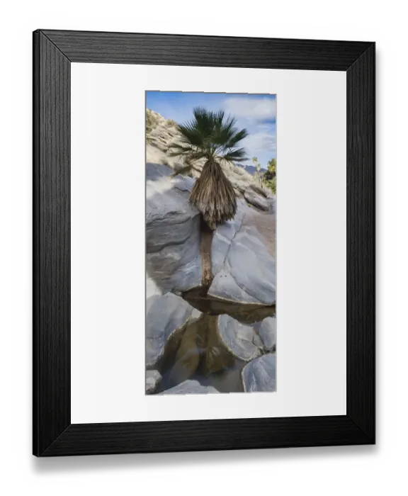 Framed Print : Indian Canyons, Palm Springs, California