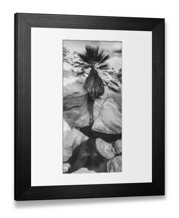 Framed Print : Indian Canyons, Palm Springs, California