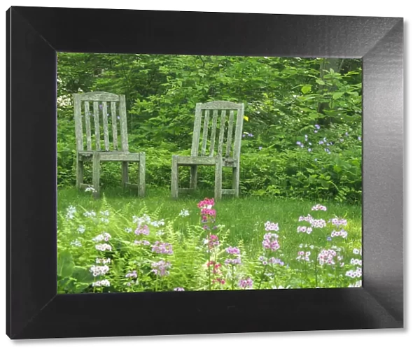 Chairs in a garden of wildflowers