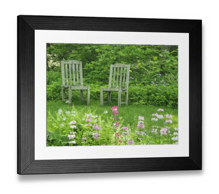 Framed Print : Chairs in a garden of wildflowers Framed Print : Chairs in a garden of wildflowers