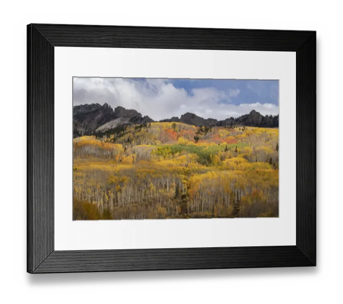 Framed Print : USA, Colorado, Gunnison National Forest. Autumn aspen forest and mountain. Credit as