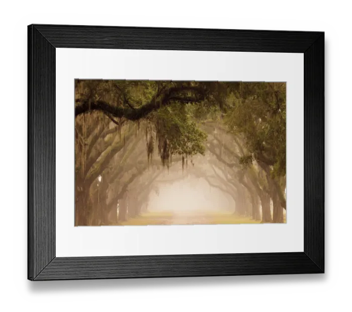 Framed Print : USA, Georgia, Savannah. Wormsloe Plantation Drive in the early morning fog Framed Print : USA, Georgia, Savannah. Wormsloe Plantation Drive in the early morning fog