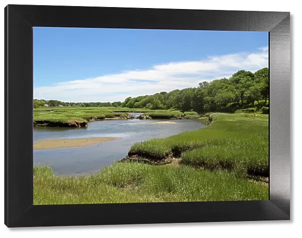 Wetlands, Barnstable, Cape Cod, Massachusetts, Usa