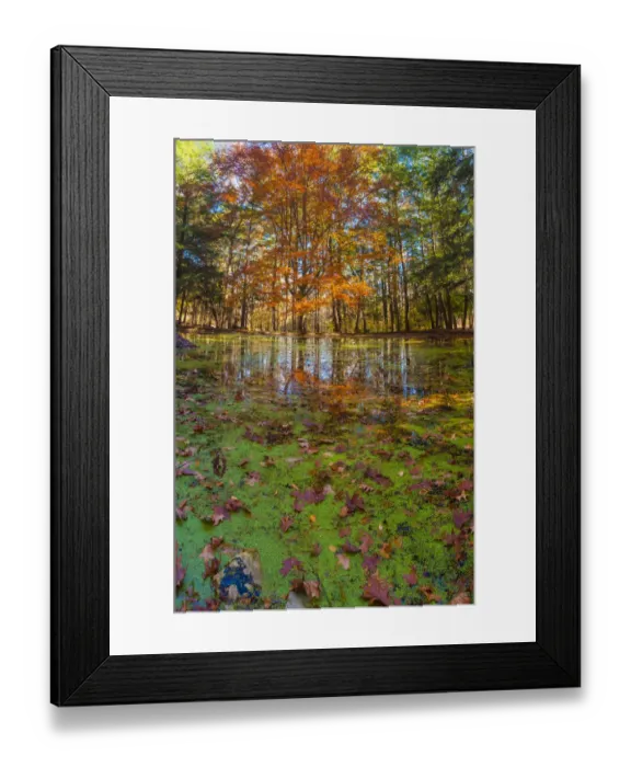 Framed Print : Fall foliage reflection in lake water