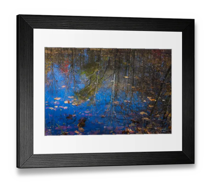 Framed Print : Fall foliage reflection in lake water