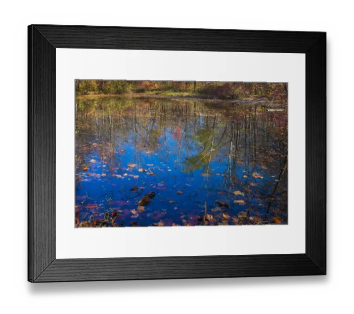 Framed Print : Fall foliage reflection in lake water