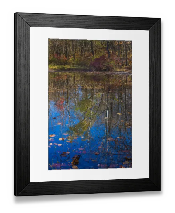 Framed Print : Fall foliage reflection in lake water