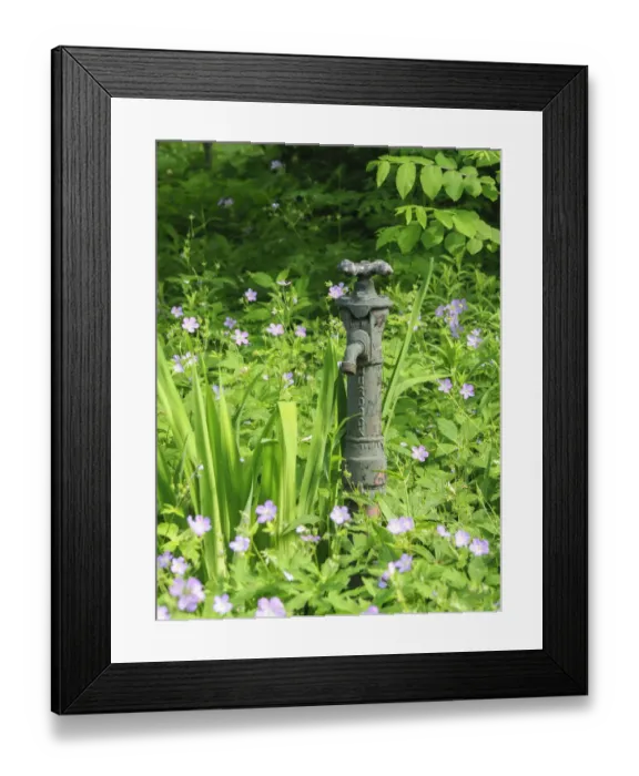 Framed Print : USA, Delaware. An antique water hose attachment surrounded by wildflowers