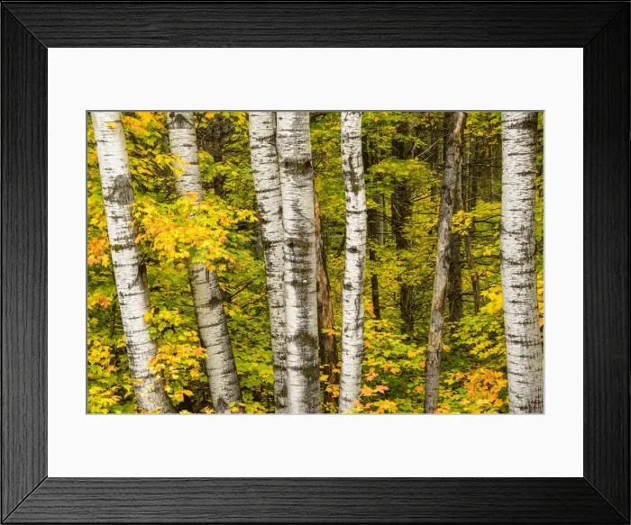 Framed Print : USA, Michigan, Upper Peninsula, fall colors