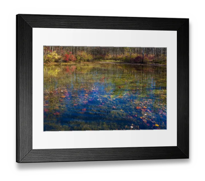 Framed Print : Fall foliage reflection in lake water Framed Print : Fall foliage reflection in lake water