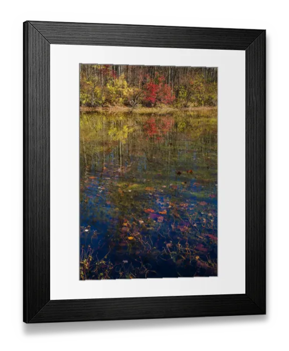 Framed Print : Fall foliage reflection in lake water Framed Print : Fall foliage reflection in lake water