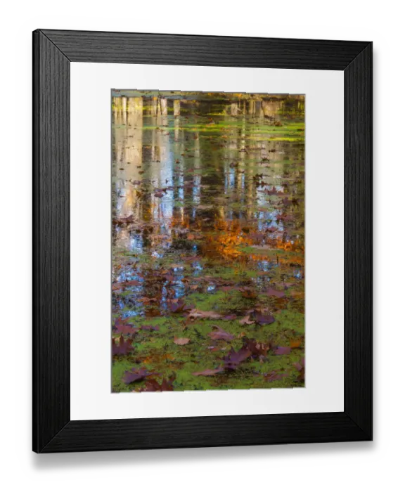 Framed Print : Fall foliage reflection in lake water Framed Print : Fall foliage reflection in lake water