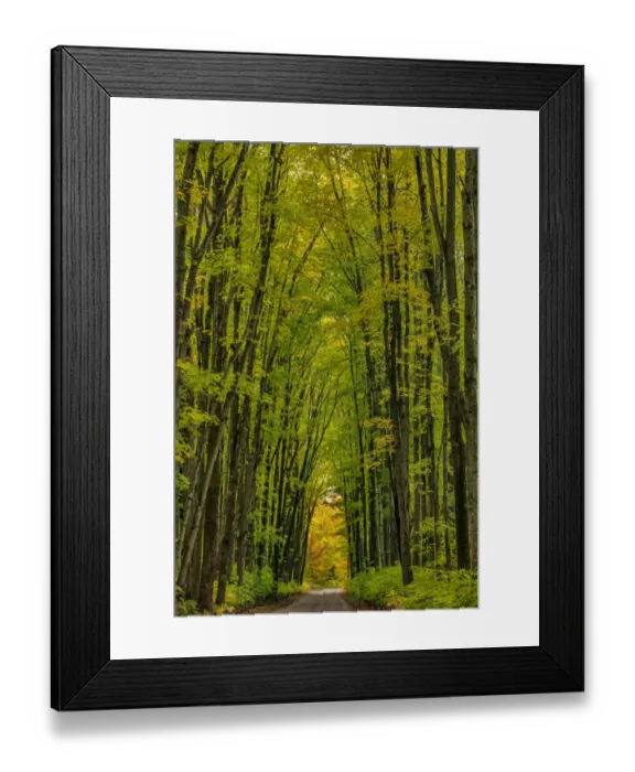 Framed Print : Covered road near Houghton in the Upper Peninsula of Michigan, USA Framed Print : Covered road near Houghton in the Upper Peninsula of Michigan, USA