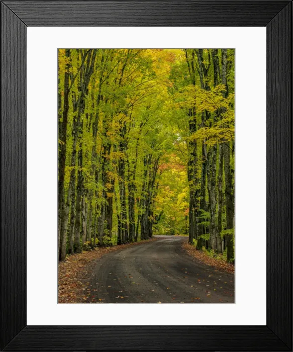 Framed Print : Covered road near Houghton in the Upper Peninsula of Michigan, USA Framed Print : Covered road near Houghton in the Upper Peninsula of Michigan, USA