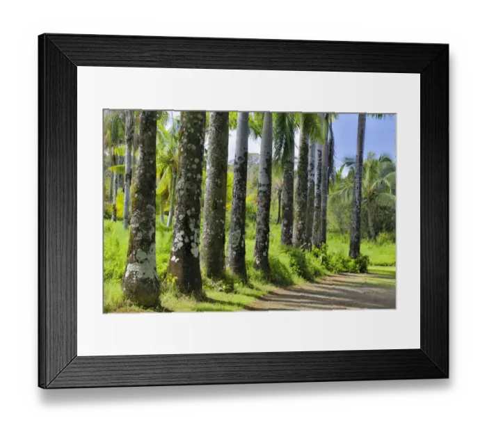 Framed Print : Palm-lined roadway in Garden of Eden Arboretum, Maui, Hawaii