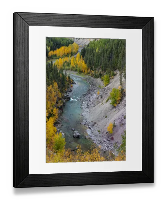 Framed Print : Autumn color along the Middle Fork of the Flathead River in Glacier National Park