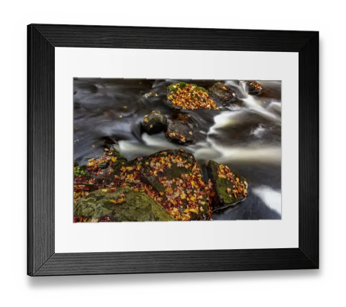 Framed Print : Rapids and autumn leaves along the Little Carp River in Porcupine Mountains Wilderness Framed Print : Rapids and autumn leaves along the Little Carp River in Porcupine Mountains Wilderness
