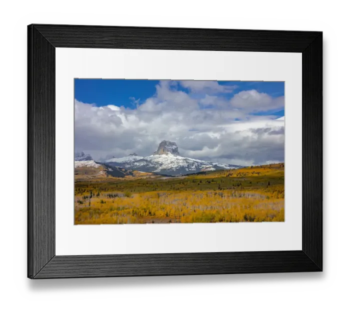 Framed Print : Peak fall color in aspen groves below Chief Mountain in Glacier National Park, Montana Framed Print : Peak fall color in aspen groves below Chief Mountain in Glacier National Park, Montana