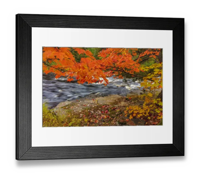 Framed Print : Sturgeon River in autumn near Alberta in the Upper Peninsula of Michigan, USA