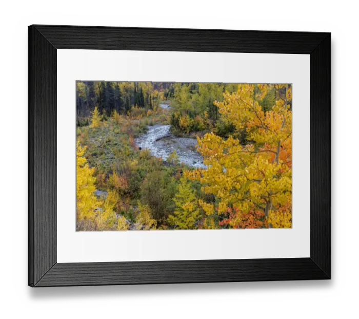 Framed Print : Autumn color along Divide Creek in Glacier National Park, Montana, USA Framed Print : Autumn color along Divide Creek in Glacier National Park, Montana, USA