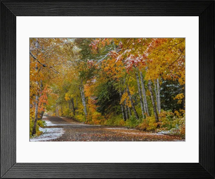 Framed Print : Light snowfall on Wyoming Road near Copper Harbor in the Upper Peninsula of Michigan, USA Framed Print : Light snowfall on Wyoming Road near Copper Harbor in the Upper Peninsula of Michigan, USA