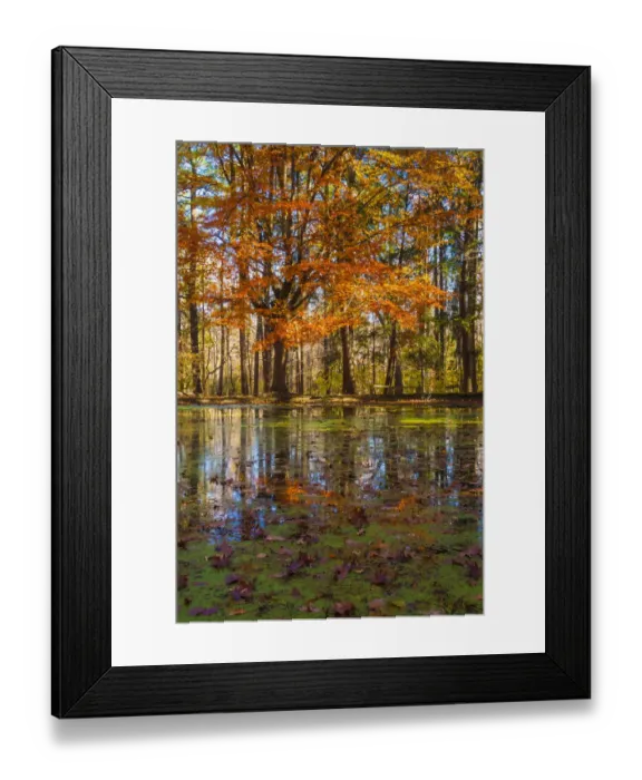 Framed Print : Fall foliage reflection in lake water Framed Print : Fall foliage reflection in lake water