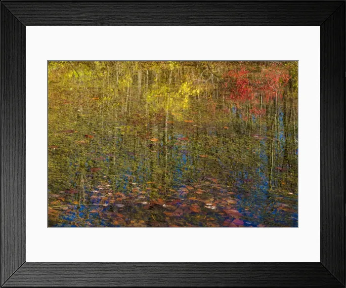 Framed Print : Fall foliage reflection in lake water