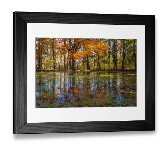 Framed Print : Fall foliage reflection in lake water
