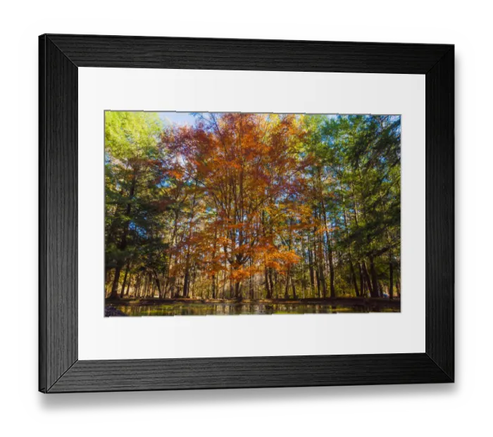 Framed Print : Fall foliage reflection in lake water