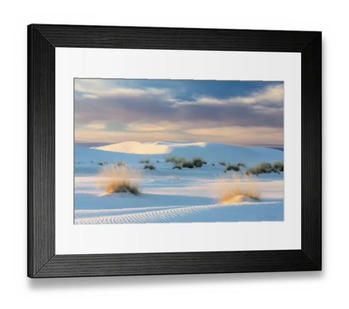 Framed Print : USA, New Mexico, White Sands National Park. Sand dunes and dry grasses at sunrise Framed Print : USA, New Mexico, White Sands National Park. Sand dunes and dry grasses at sunrise