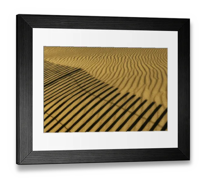 Framed Print : USA, New Jersey, Cape May National Seashore. Fence shadow on shore sand. Credit as Framed Print : USA, New Jersey, Cape May National Seashore. Fence shadow on shore sand. Credit as