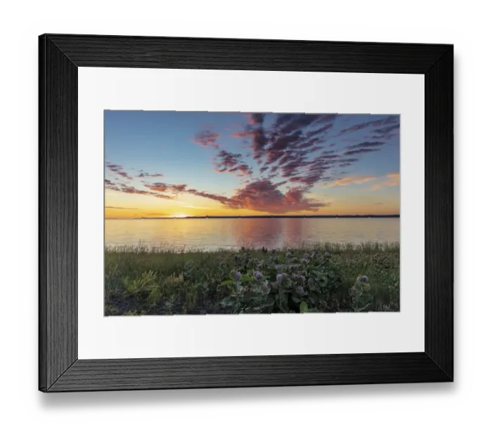 Framed Print : Vivid sunrise clouds over Fort Peck Reservoir and milkweed in the Charles M Russell Framed Print : Vivid sunrise clouds over Fort Peck Reservoir and milkweed in the Charles M Russell