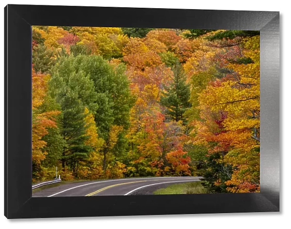 Autumn color along Highway 26 near Houghton in the Upper Peninsula of Michigan, USA