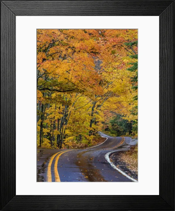 Framed Print : Highway 41 covered roadway in autumn near Copper Harbor in the Upper Peninsula of Michigan Framed Print : Highway 41 covered roadway in autumn near Copper Harbor in the Upper Peninsula of Michigan