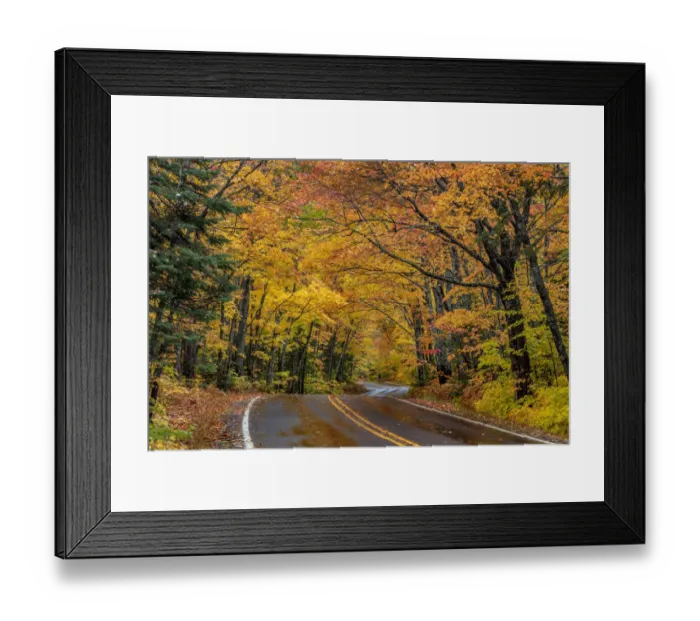 Framed Print : Highway 41 covered roadway in autumn near Copper Harbor in the Upper Peninsula of Michigan Framed Print : Highway 41 covered roadway in autumn near Copper Harbor in the Upper Peninsula of Michigan