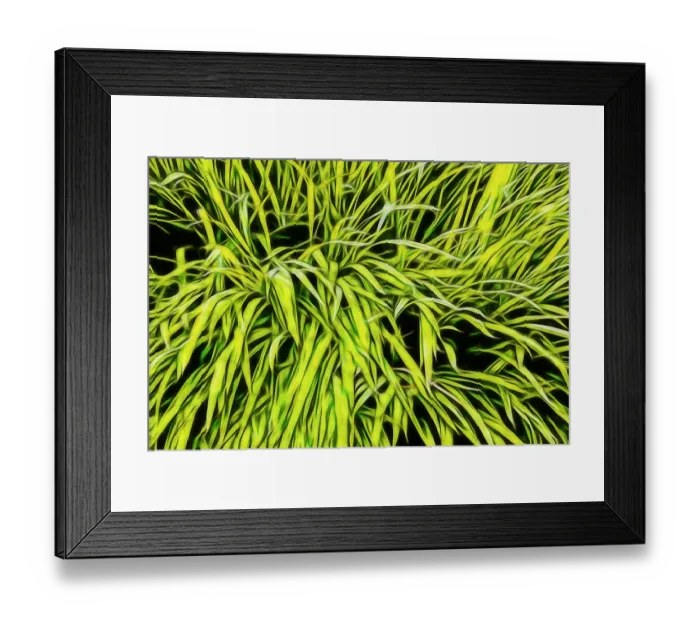 Framed Print : USA, Oregon, Cannon Beach. Abstract of grass in window Box Framed Print : USA, Oregon, Cannon Beach. Abstract of grass in window Box