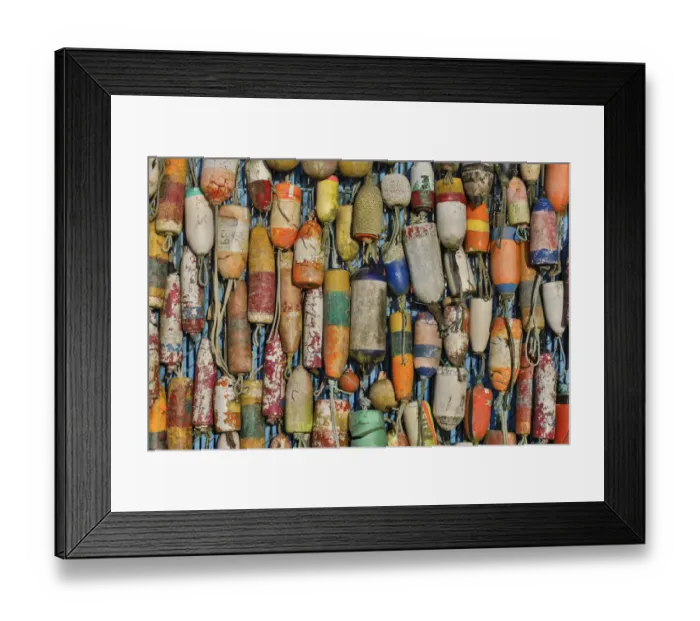 Framed Print : Buoys displayed Charleston Marina, Oregon Framed Print : Buoys displayed Charleston Marina, Oregon