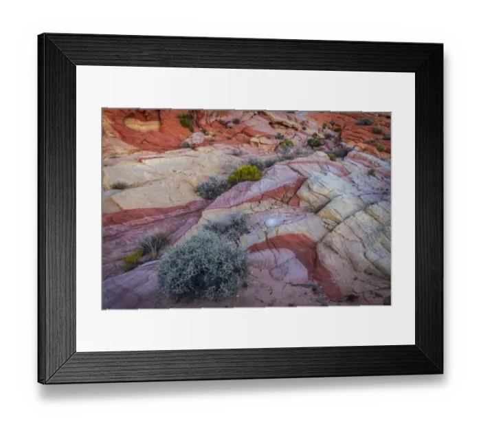 Framed Print : USA, Nevada, Overton, Valley of Fire State Park. Multi-colored rock formations. Credit as Framed Print : USA, Nevada, Overton, Valley of Fire State Park. Multi-colored rock formations. Credit as