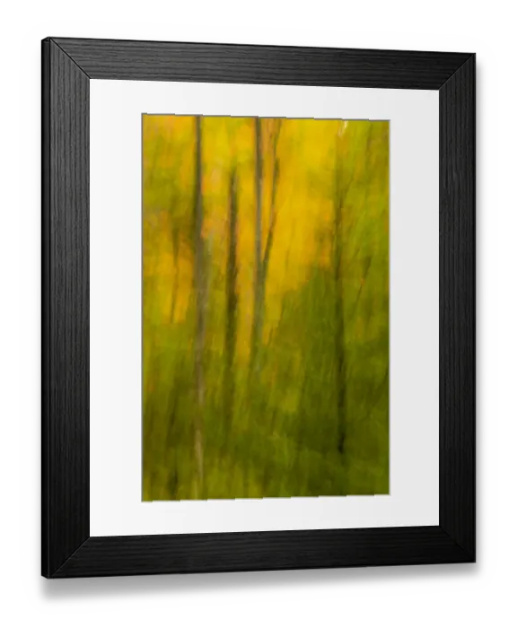 Framed Print : USA, New York, Adirondack State Park. Forest abstract Framed Print : USA, New York, Adirondack State Park. Forest abstract