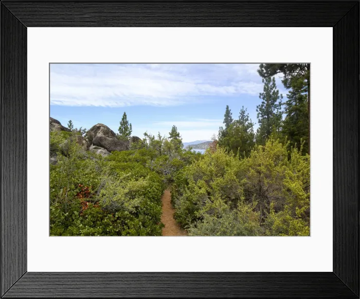 Framed Print : A narrow path at Logan Shoals Vista, Zephyr Cove, Lake Tahoe, Nevada, Usa Framed Print : A narrow path at Logan Shoals Vista, Zephyr Cove, Lake Tahoe, Nevada, Usa