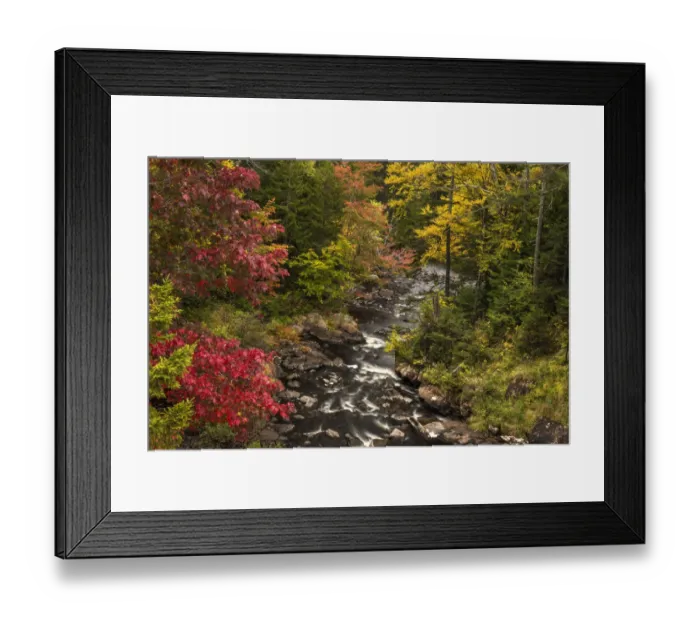 Framed Print : USA, New York, Adirondack State Park. Stream and forest in autumn Framed Print : USA, New York, Adirondack State Park. Stream and forest in autumn
