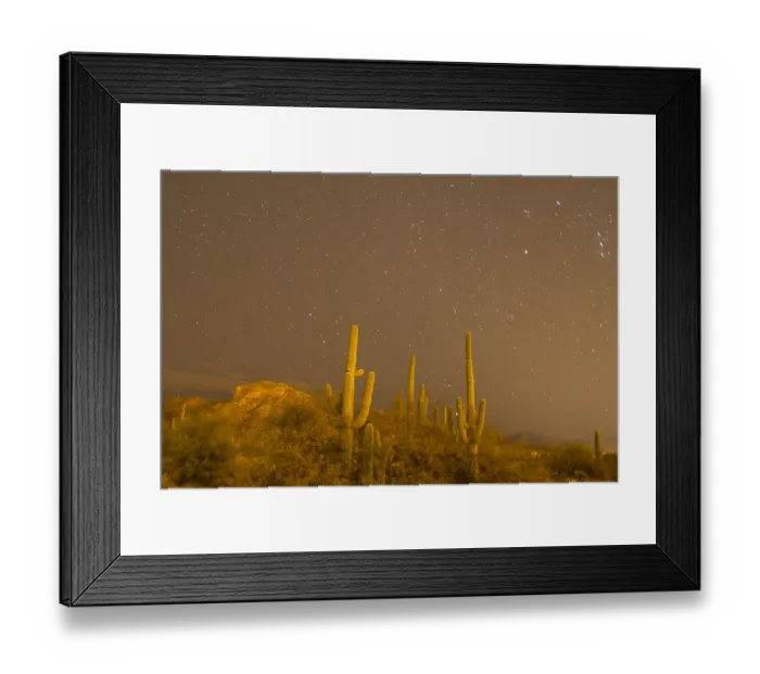 Framed Print : USA, Arizona, Sabino Canyon Recreation Area. Saguaro cactus and stars at night. Credit as Framed Print : USA, Arizona, Sabino Canyon Recreation Area. Saguaro cactus and stars at night. Credit as