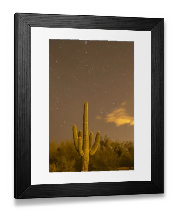 Framed Print : USA, Arizona, Sabino Canyon Recreation Area. Saguaro cactus and stars at night. Credit as Framed Print : USA, Arizona, Sabino Canyon Recreation Area. Saguaro cactus and stars at night. Credit as
