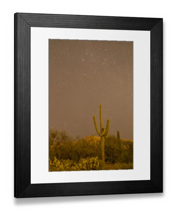 Framed Print : USA, Arizona, Sabino Canyon Recreation Area. Saguaro cactus and stars at night. Credit as Framed Print : USA, Arizona, Sabino Canyon Recreation Area. Saguaro cactus and stars at night. Credit as